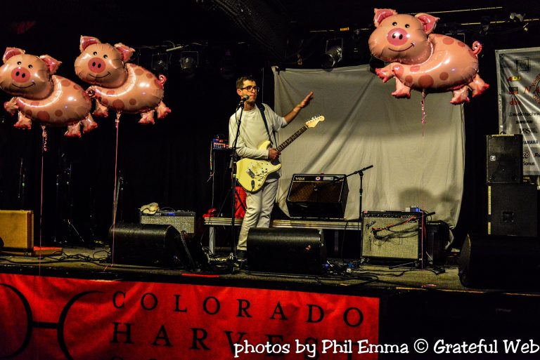 Electric Sammy Plays Pink Floyd's Animals