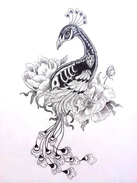 Phantom Vanity to release Vintage Slacker