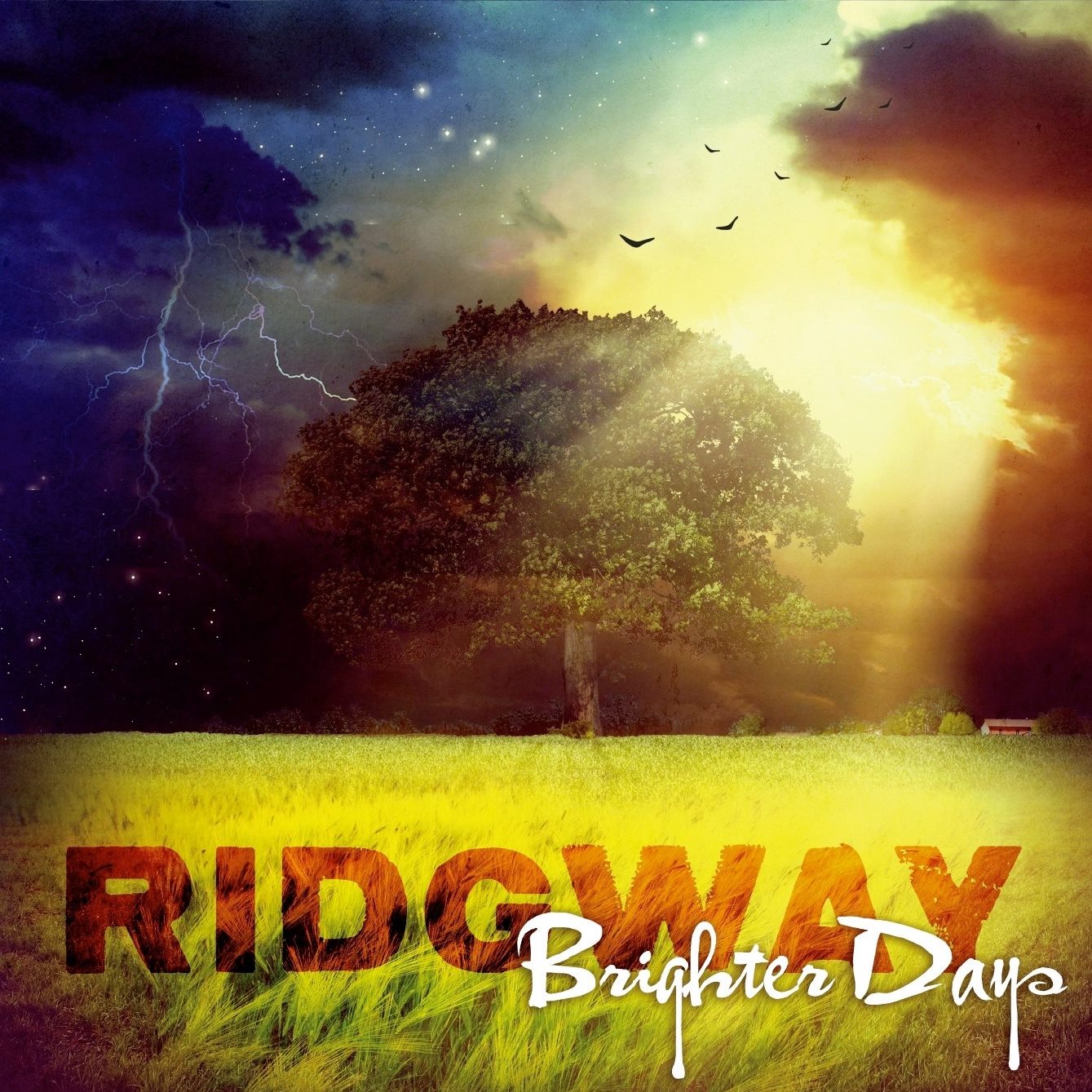 Ridgway release new video, "Barnacles"