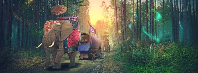 Electric Forest's "Her Forest" Initiative