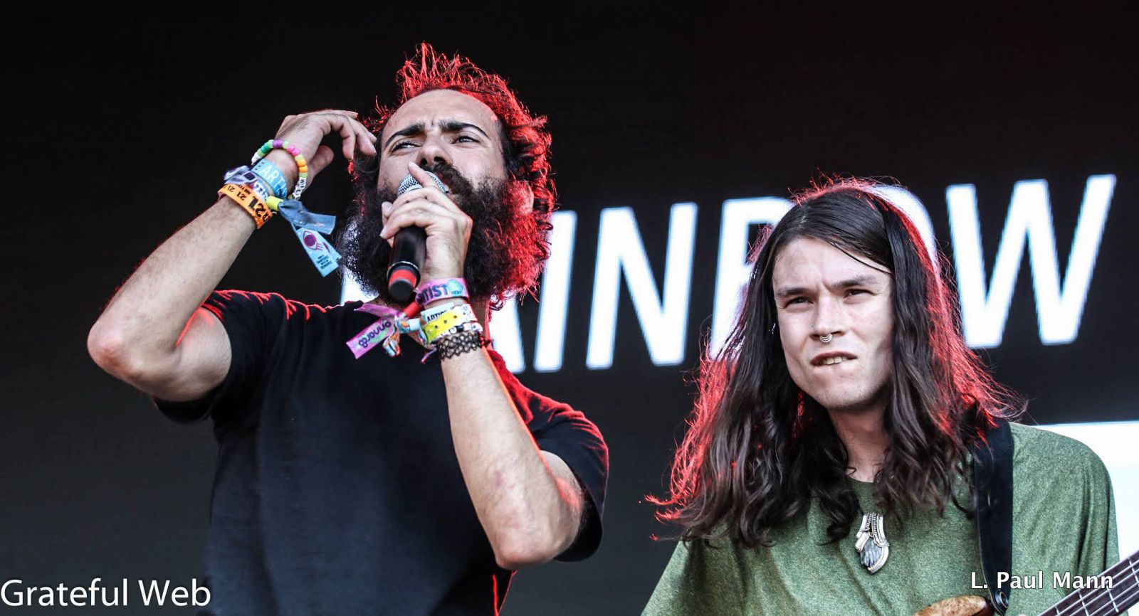 Rainbow Kittens | Bonnaroo