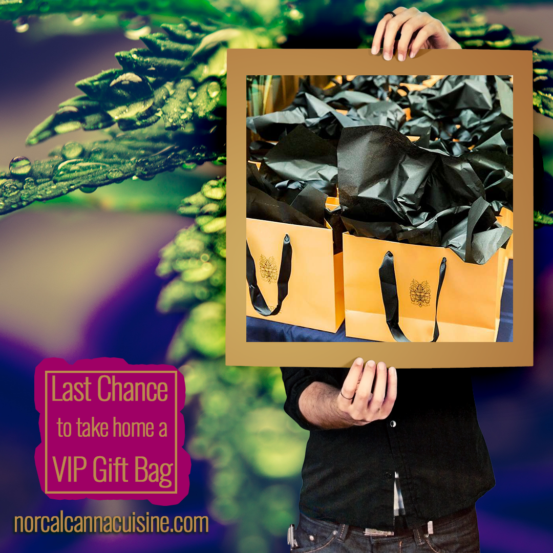 The NorCal Canna Cuisine Gala featuring Moonalice