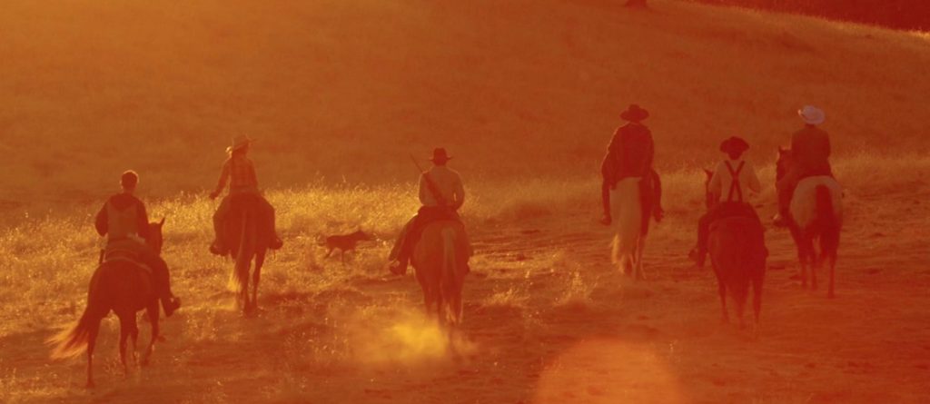The Brothers Comatose Saddled Up for a Horseback Tour