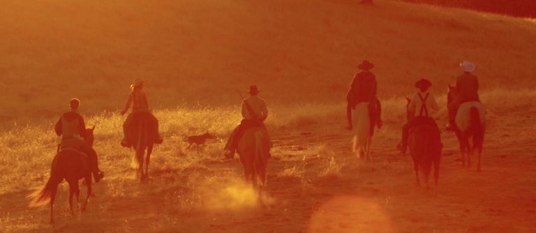 The Brothers Comatose Saddled Up for a Horseback Tour
