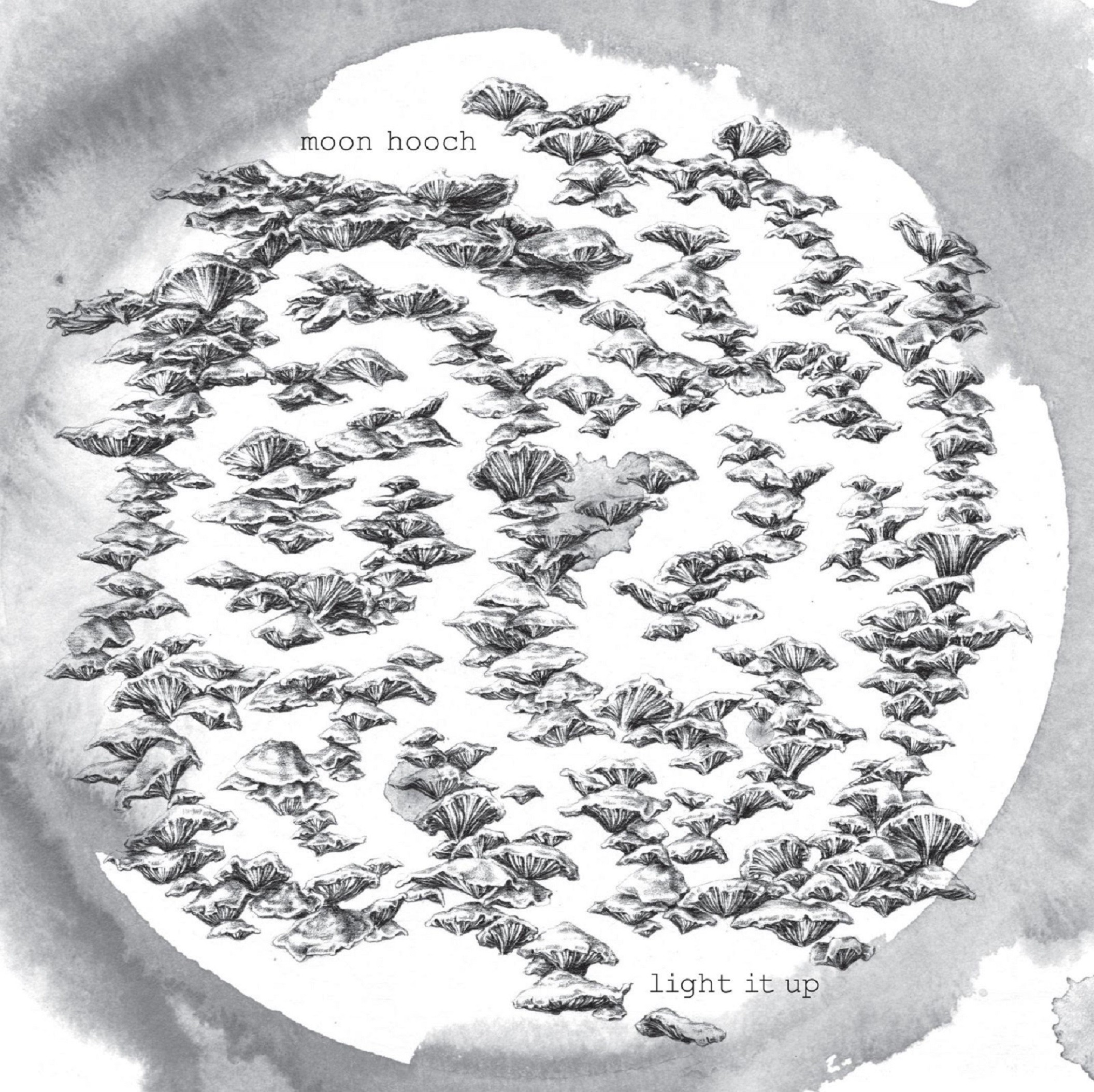 MOON HOOCH Announce New EP 'LIGHT IT UP' Due April 6