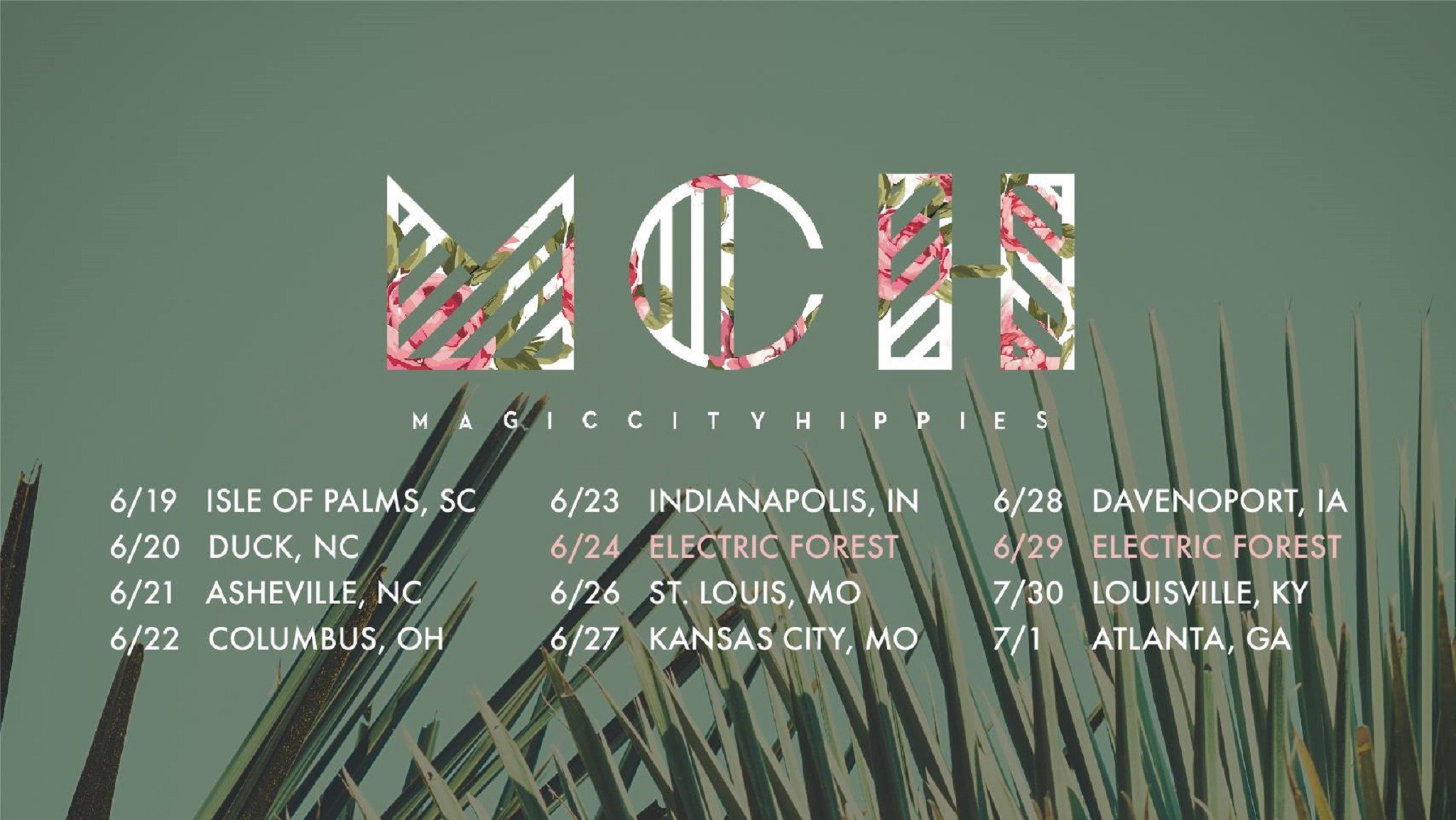 GW Premiere: Magic City Hippies' "Franny"