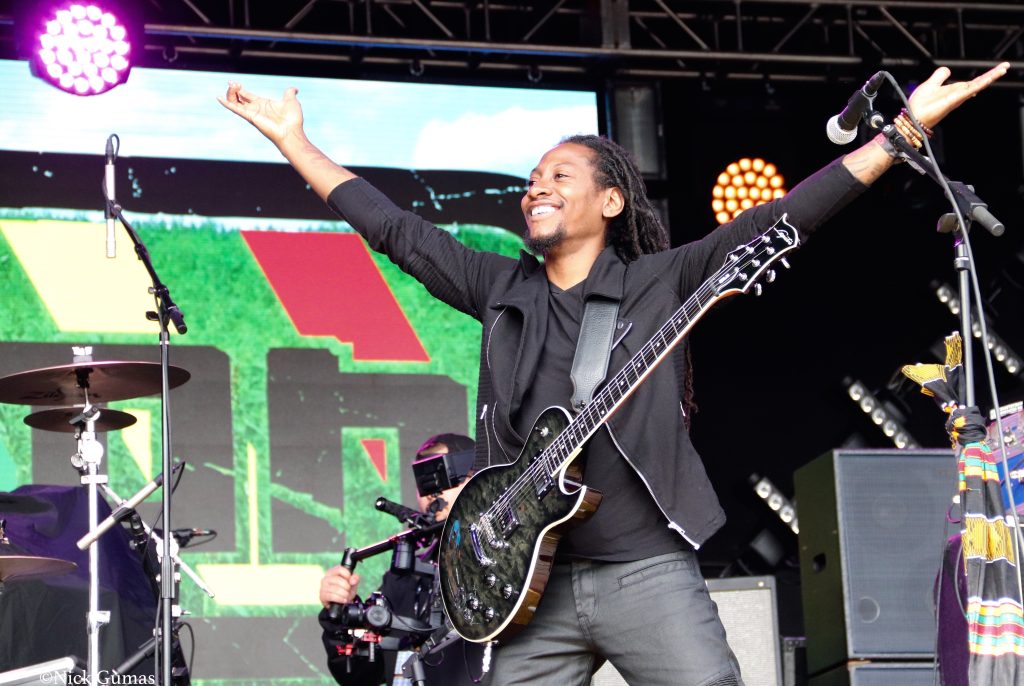 Grateful Web Interview with New Kingston