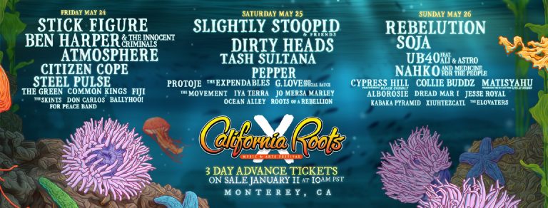 10th Annual California Roots Music and Arts Festival Announces Final lineup