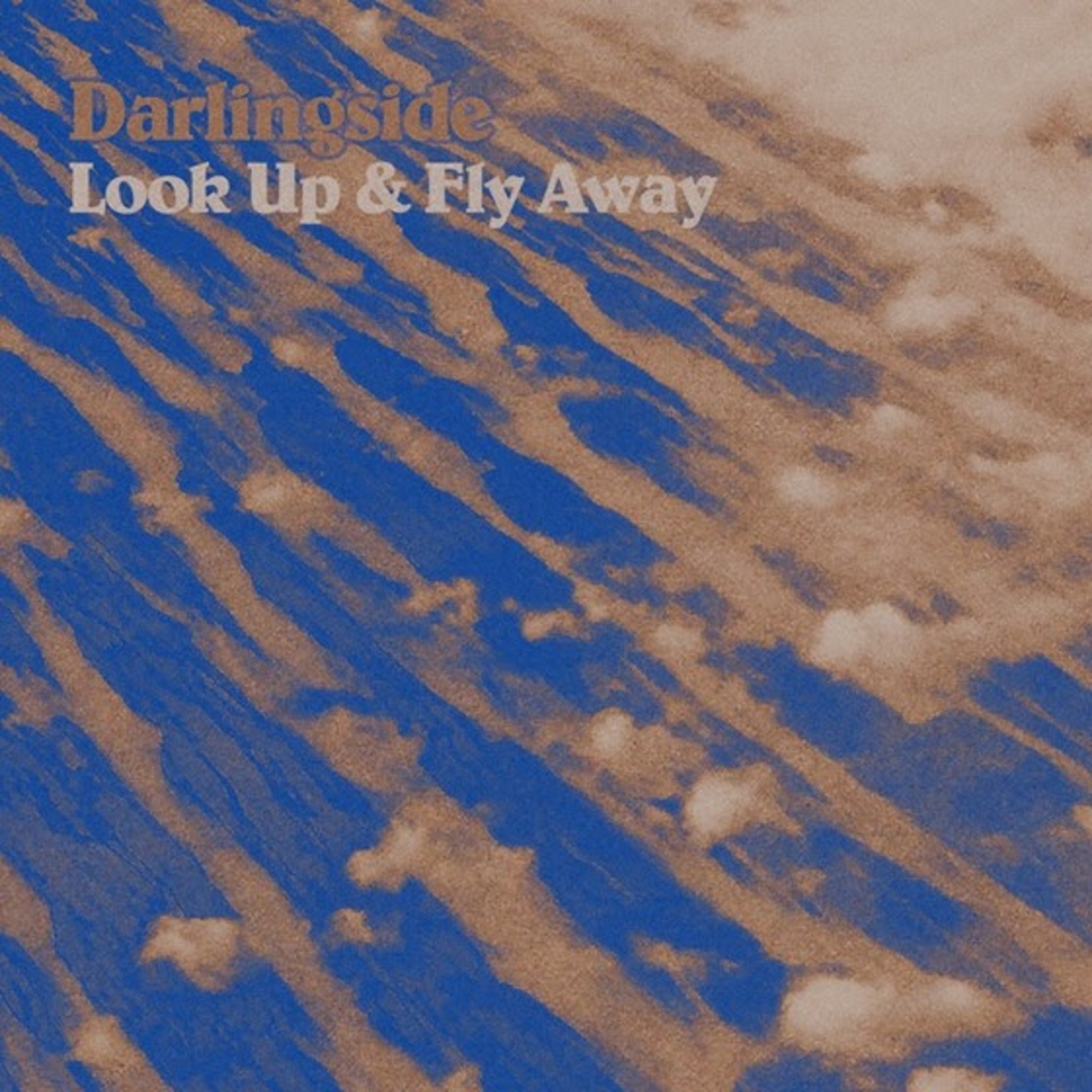 Darlingside Announce Tour and New EP LOOK UP & FLY AWAY