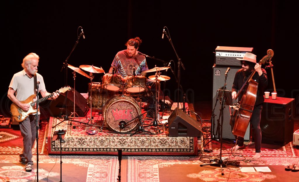 BeachLife Fest: More than Weir, Willie and Beach Boys’ Wilson
