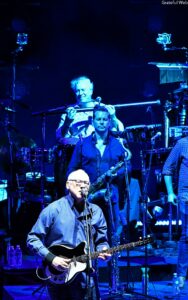Lead guitarist and singer at a mic in the foreground, blue stage lighting, with band members and percussion in the background.