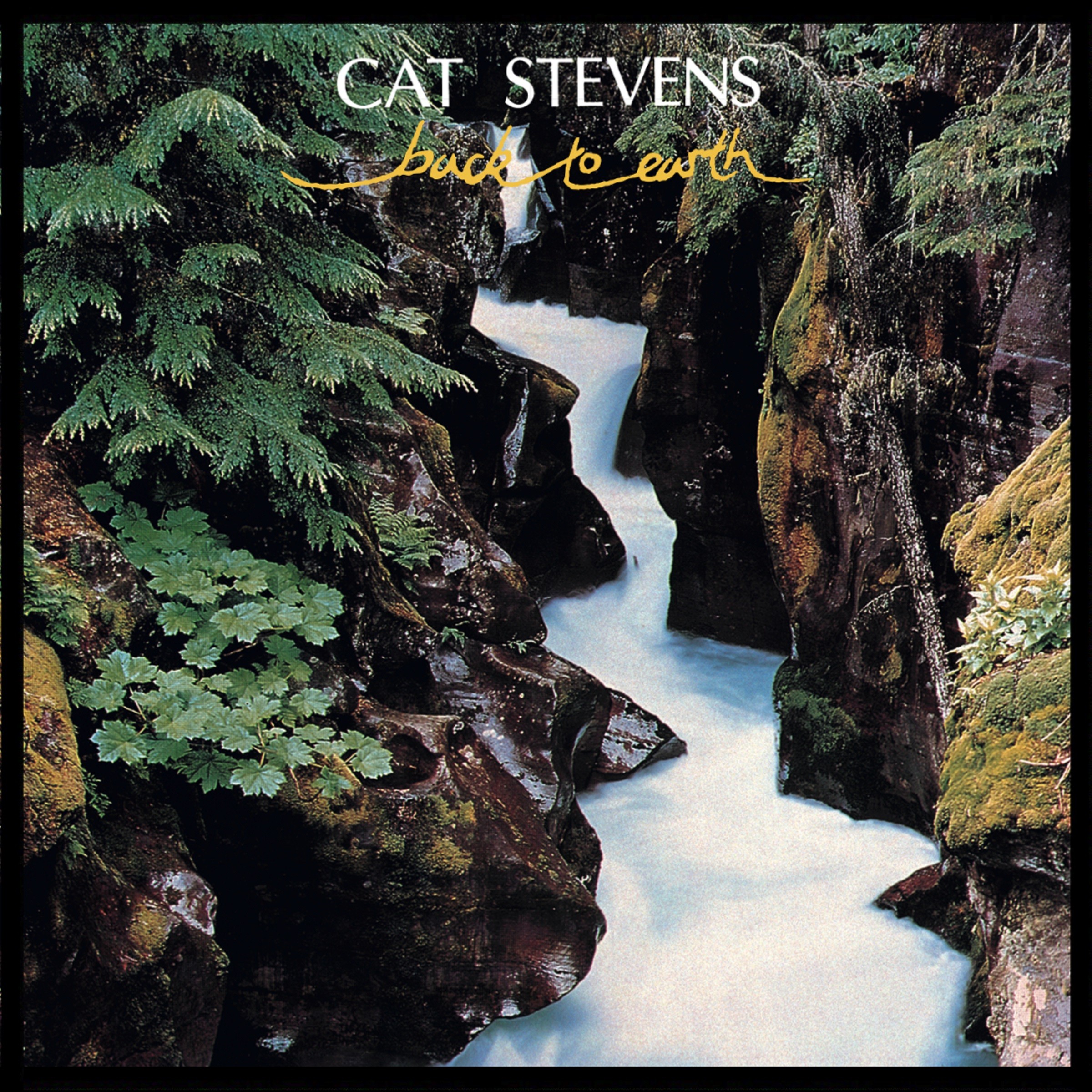 Yusuf/Cat Stevens Remasters "Back to Earth"