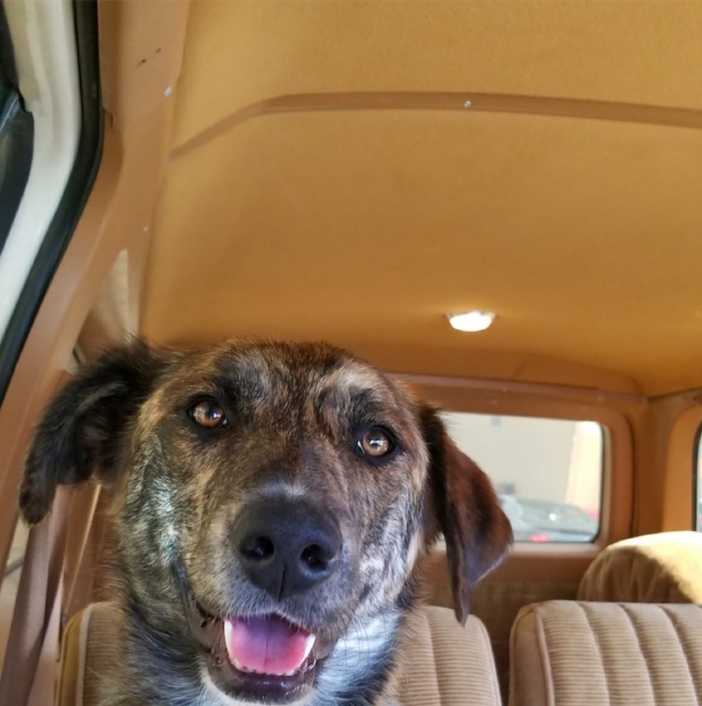 Trampled By Turtles Releases Track off upcoming EP