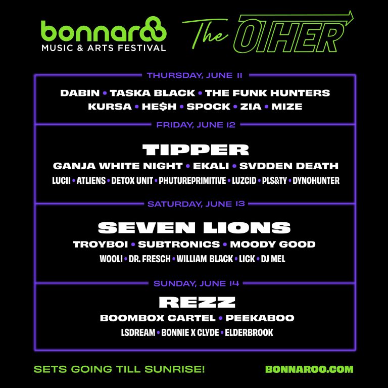 Bonnaroo unveils lineup for "The Other" stage