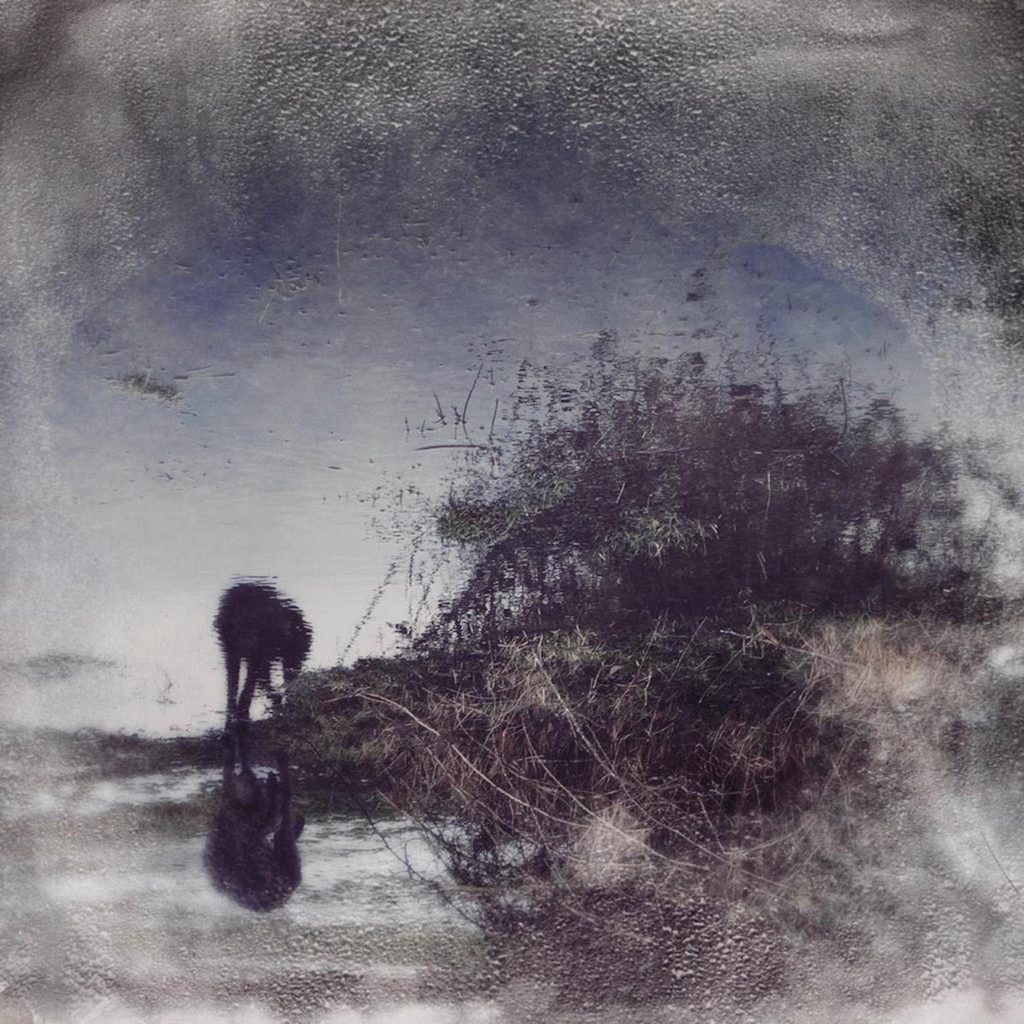 Simon Posford (of Shpongle) Announces Debut Solo Album