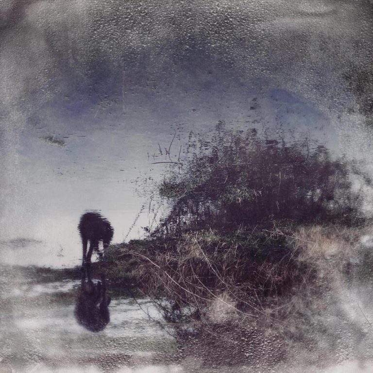 Simon Posford (of Shpongle) Announces Debut Solo Album