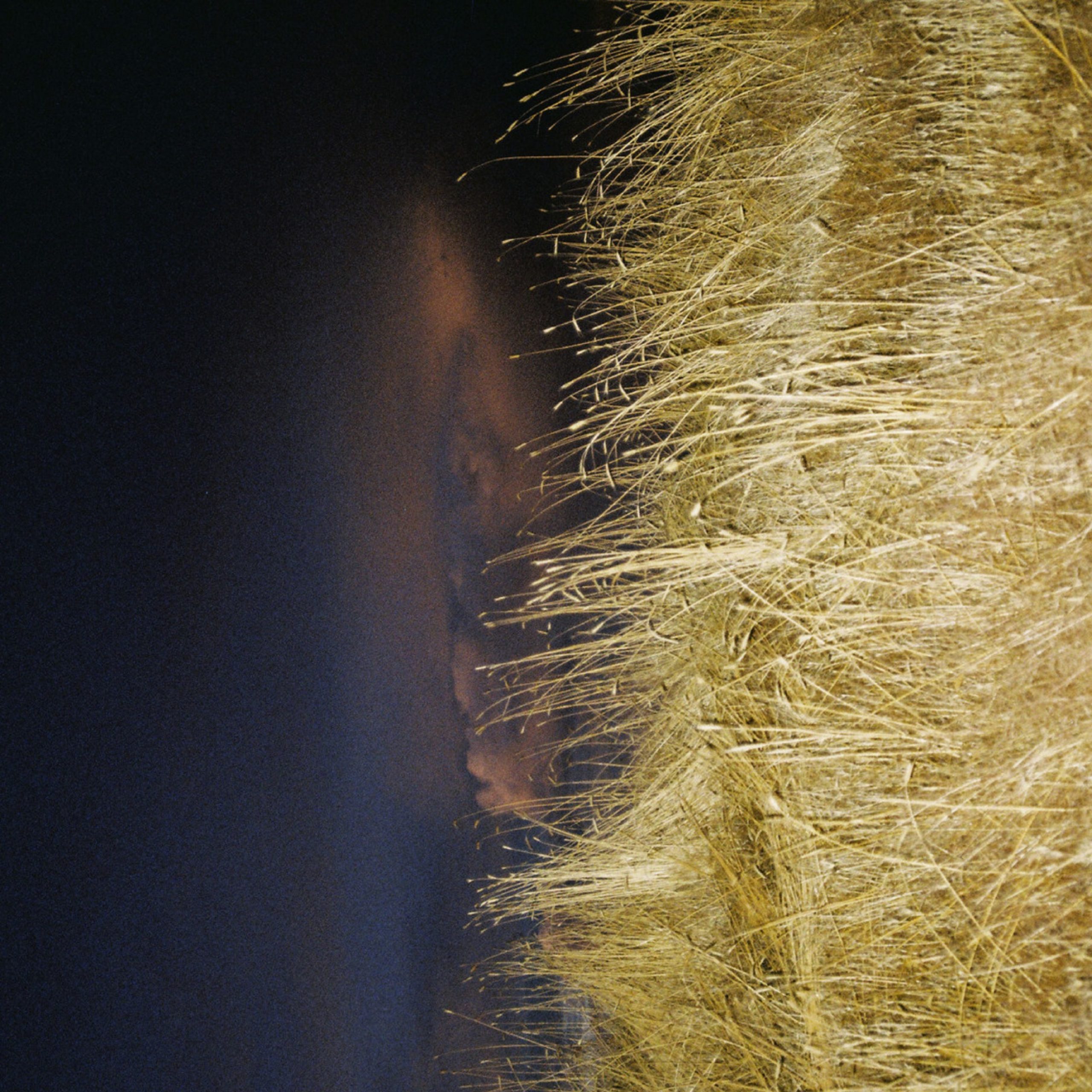 Max Helgemo Daydreams with Indie Folk Single “Uncovered”