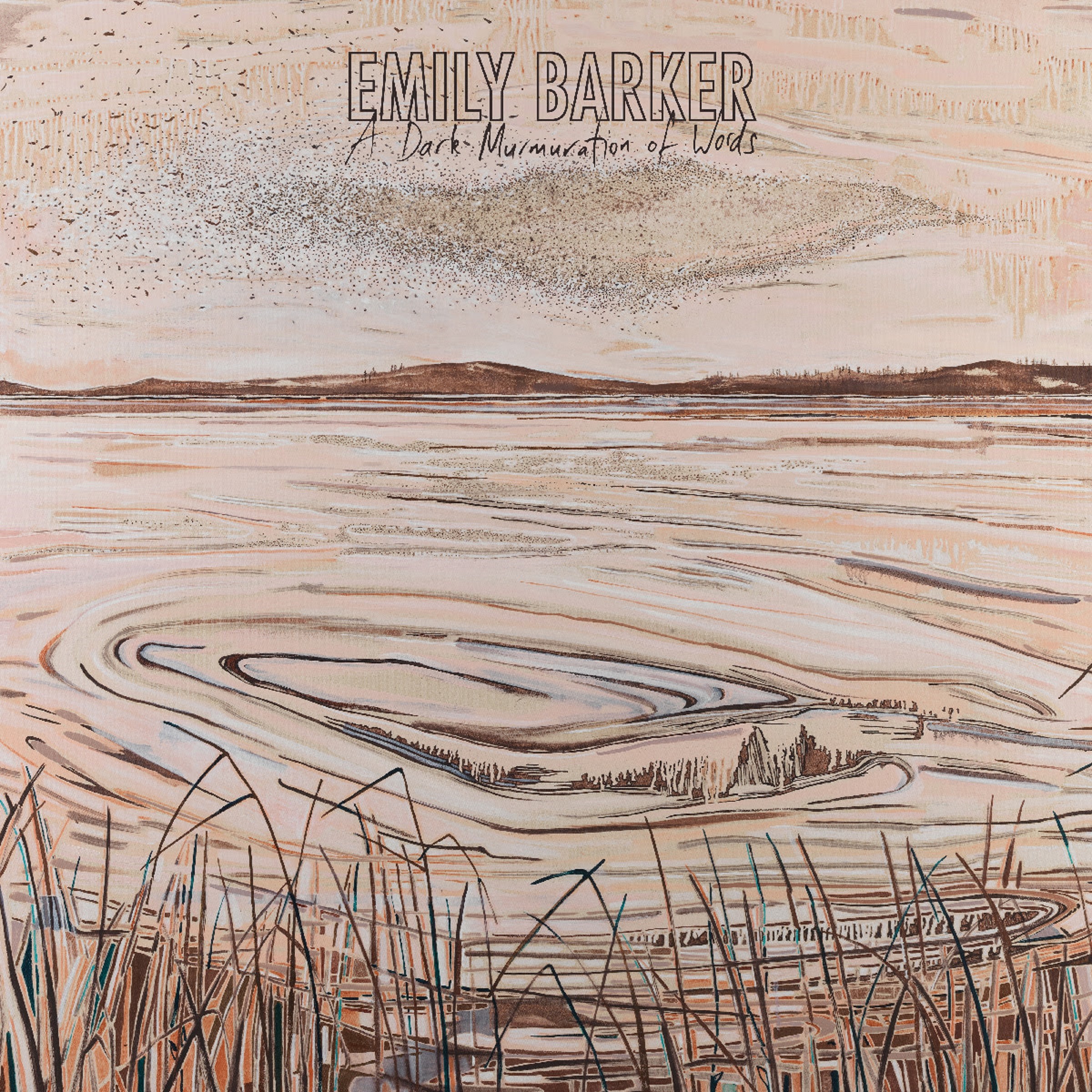 Emily Barker | A Dark Murmuration of Words | Review