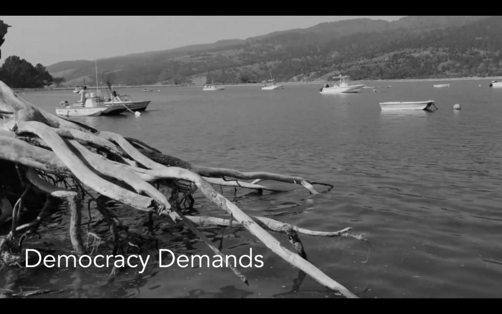 Rachel Garlin's Poetic & Powerful "Democracy Demands"