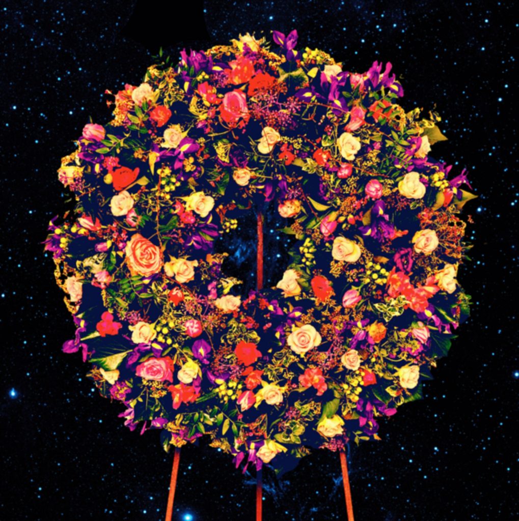 Great Peacock Release Highly-Anticipated Third Album, Forever Worse Better