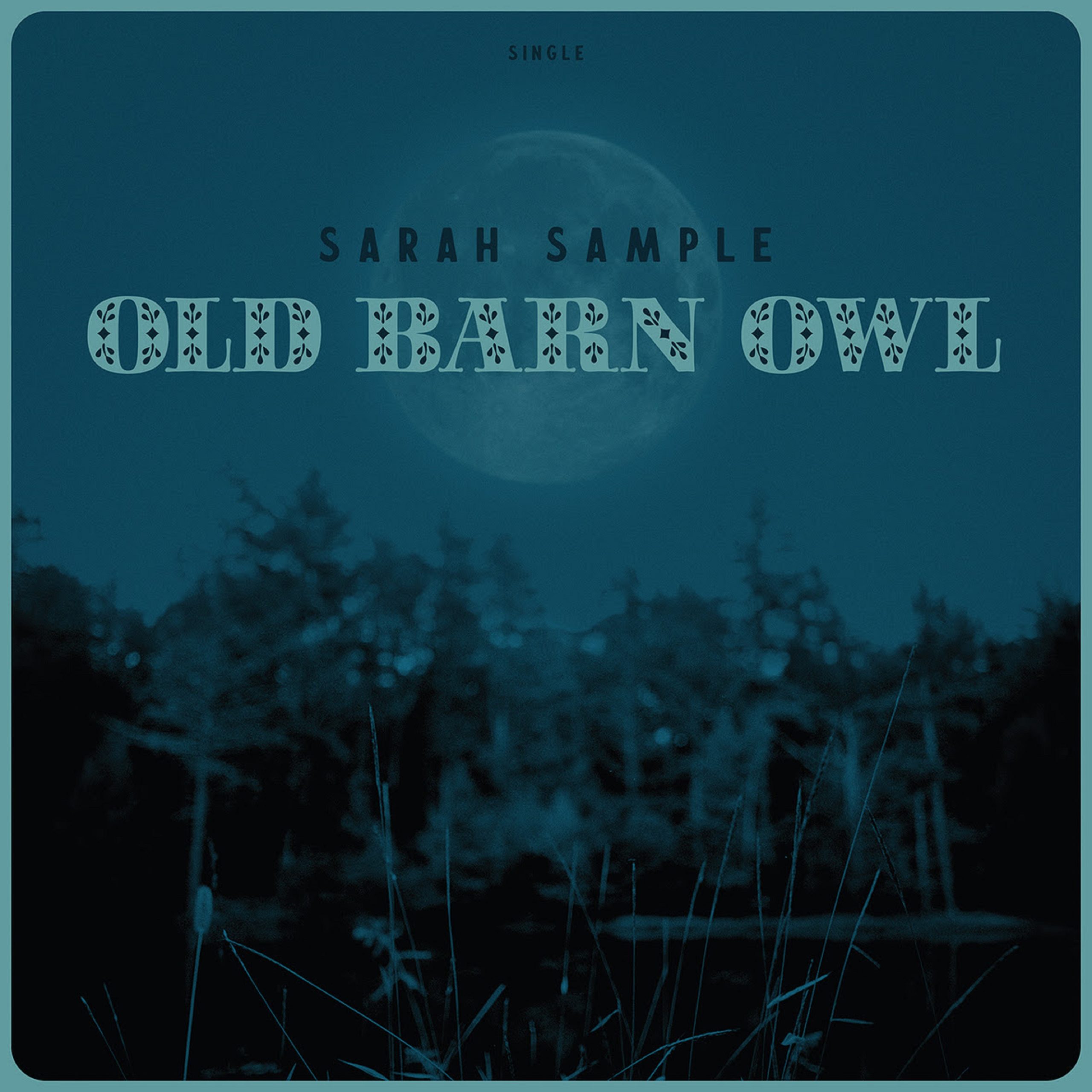 Sarah Sample’s “Old Barn Owl” Finds Catharsis in the Mystical