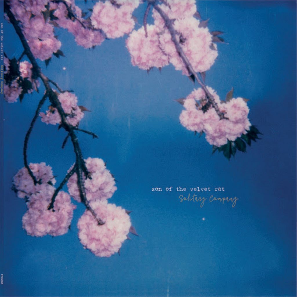 SON OF THE VELVET RAT READIES NINTH ALBUM, SOLITARY COMPANY