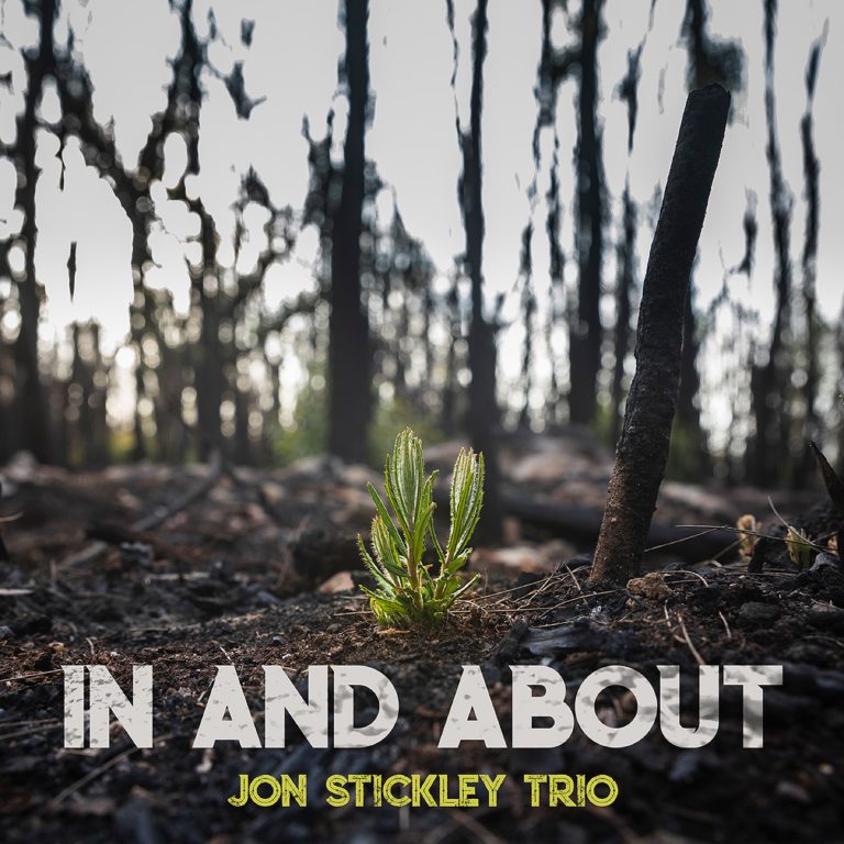 Jon Stickley Trio’s ‘In And About’ captures shifting states of mind