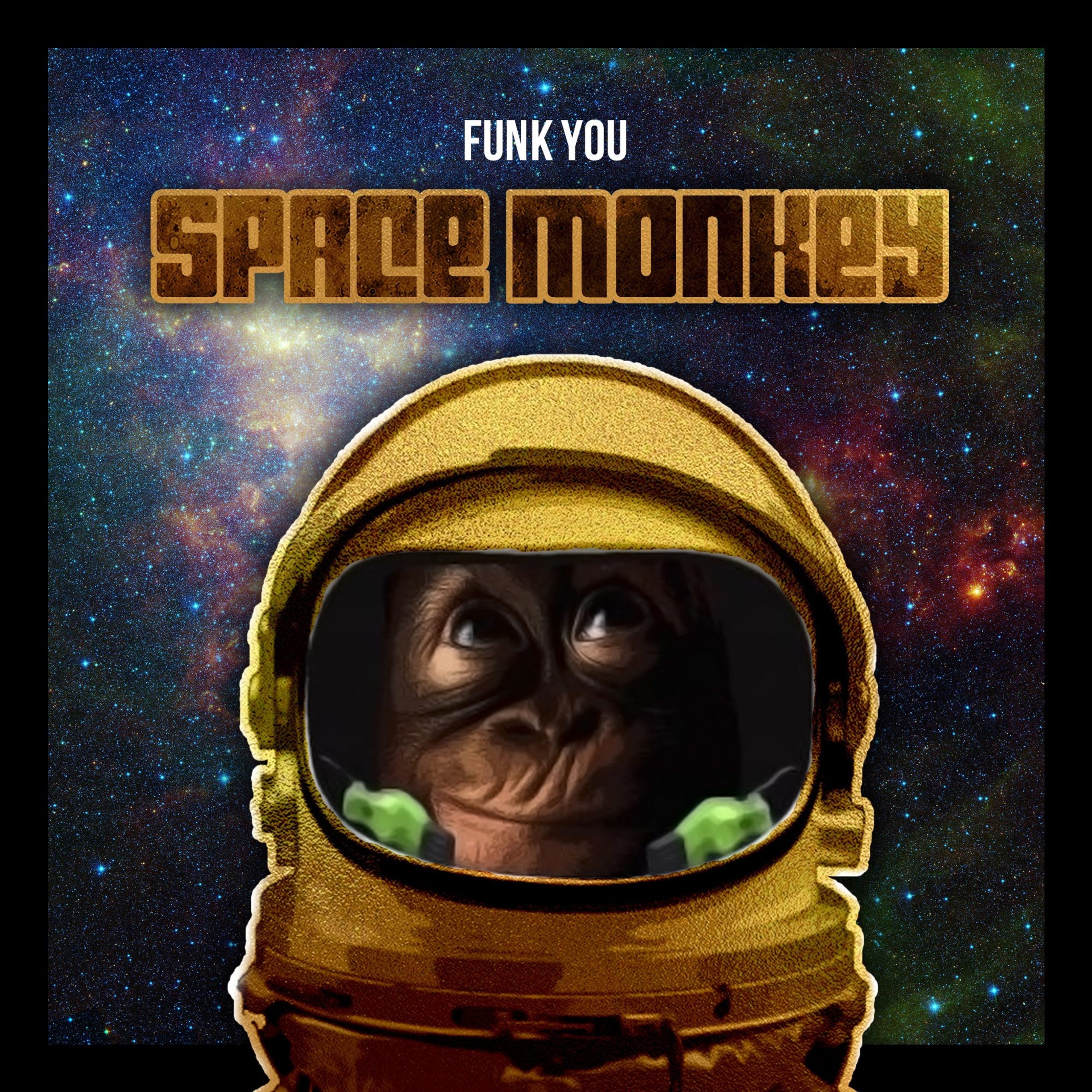 Funk You Announces New Studio Album