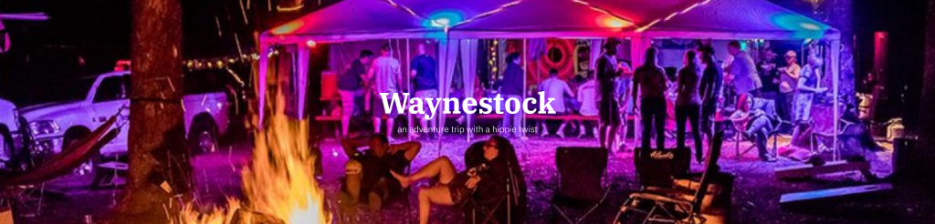 Waynestock Outdoor Adventure and Live Music Festival returns this summer!