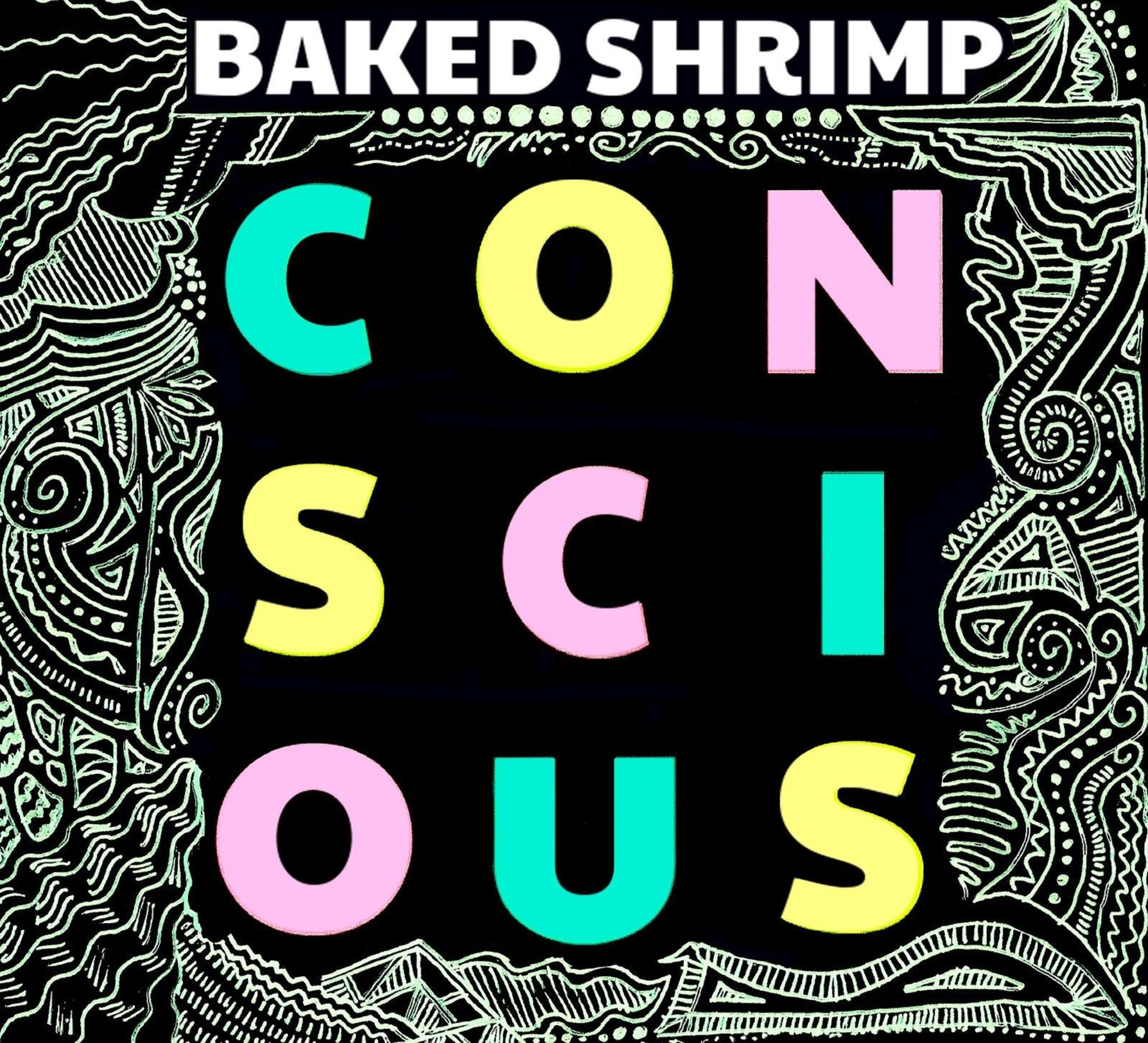 Long Island Jam Trio Baked Shrimp Releases New Studio Album, 'Conscious'