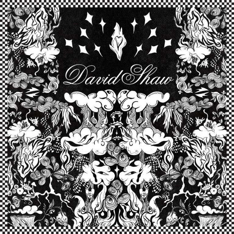 The Revivalists’ David Shaw Releases Music Video For “Got Me Feeling Good”