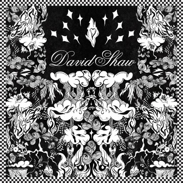 The Revivalists’ David Shaw Releases Debut Self-Titled Solo Album