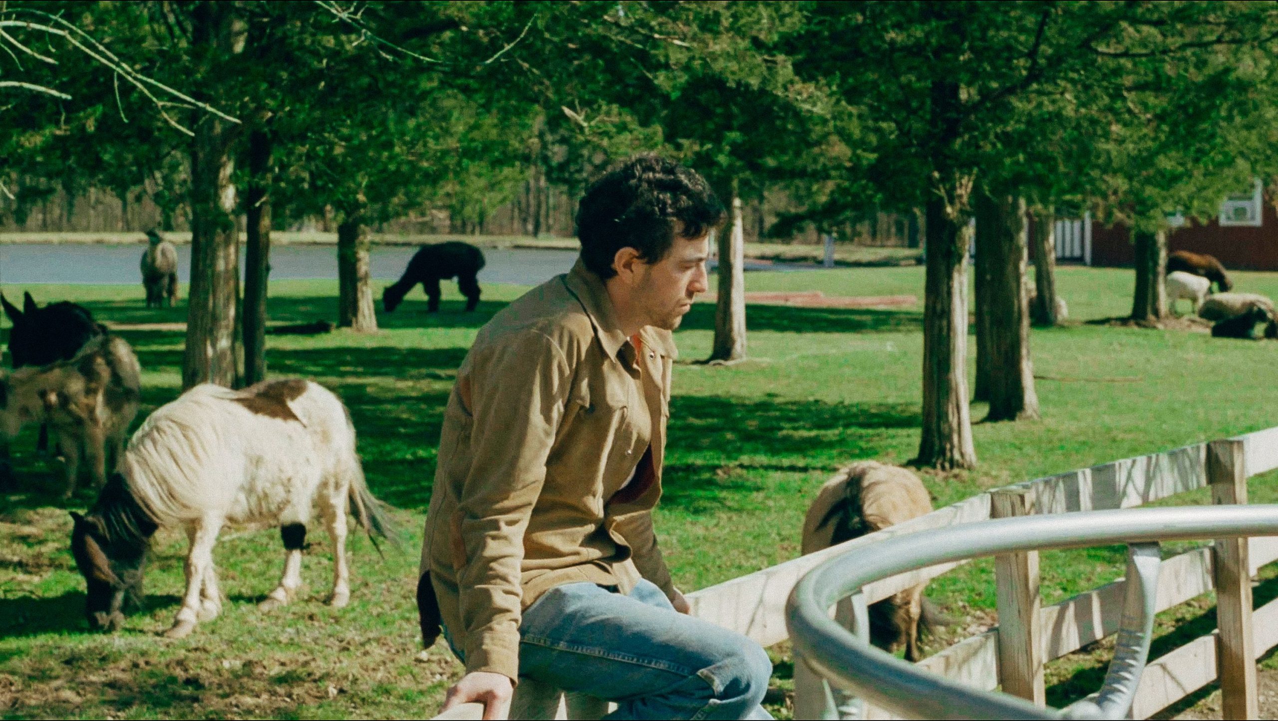 Grateful Web Interview with Jackson Melnick