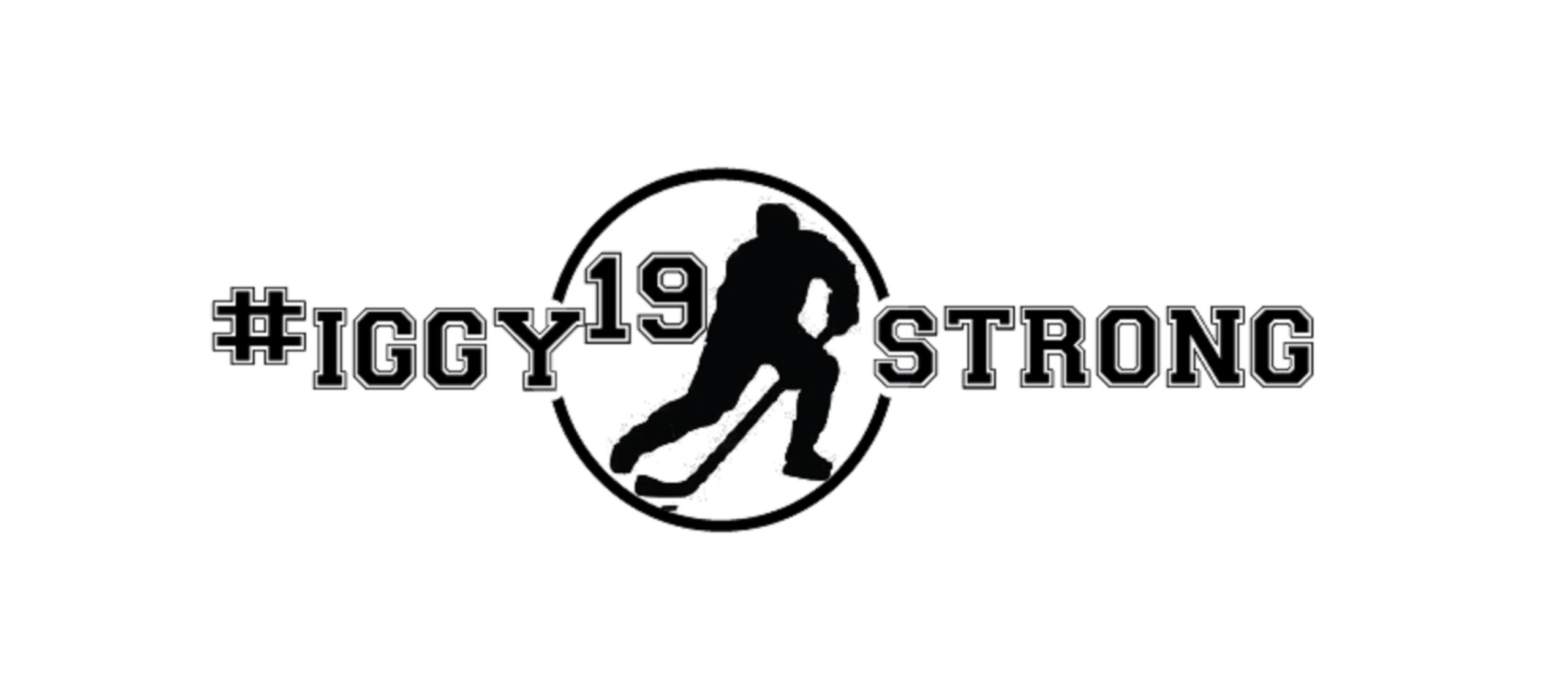 #iggystrong FOUR-DAY FUNDRAISER TO FEATURE ITEMS FROM PHISH, TREY ANASTASIO, PRIMUS, .moe, GOOSE, UMPHREY’S MCGEE, AND MORE