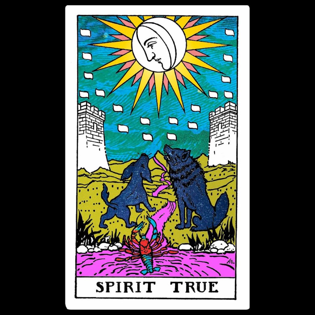 Scott Hirsch, founding member of Hiss Golden Messenger, shares new song "Spirit True"