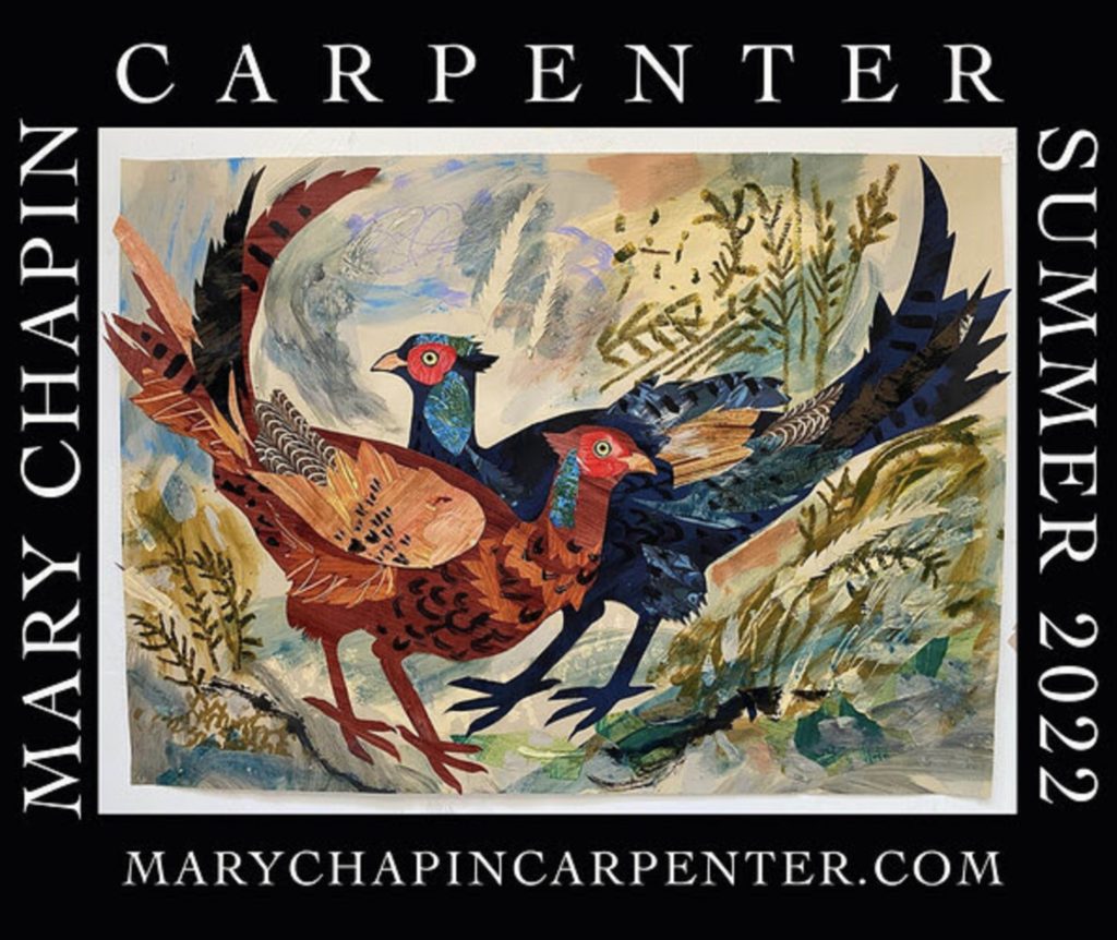 Mary Chapin Carpenter confirms summer headline tour