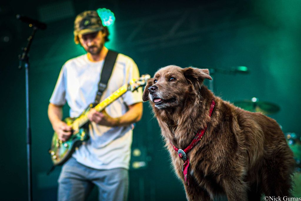 Cali Roots 2022 | Day Three | Recap