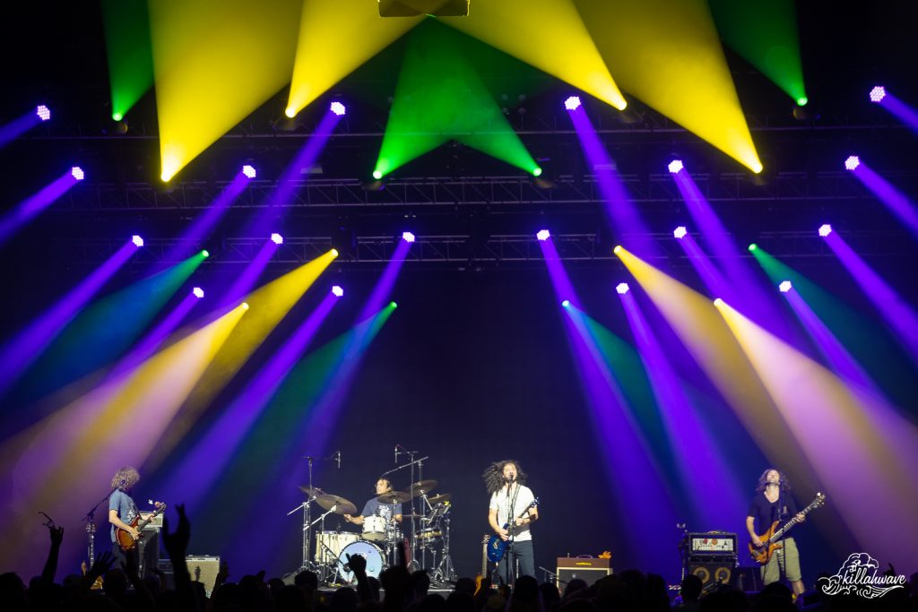 Pigeons Playing Ping Pong | Hard Rock Hotel | 8/6/2022