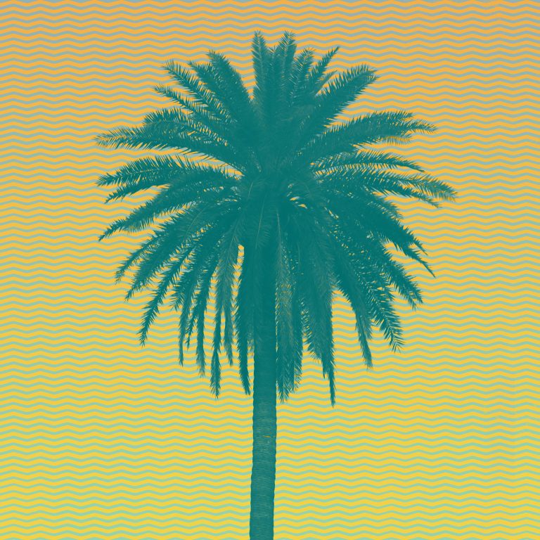 The Bergamot releases new single, Paradise