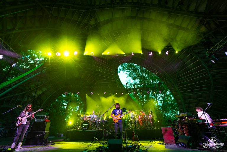 Goose | The Chrysalis at Merriweather Park | 8/13/2022