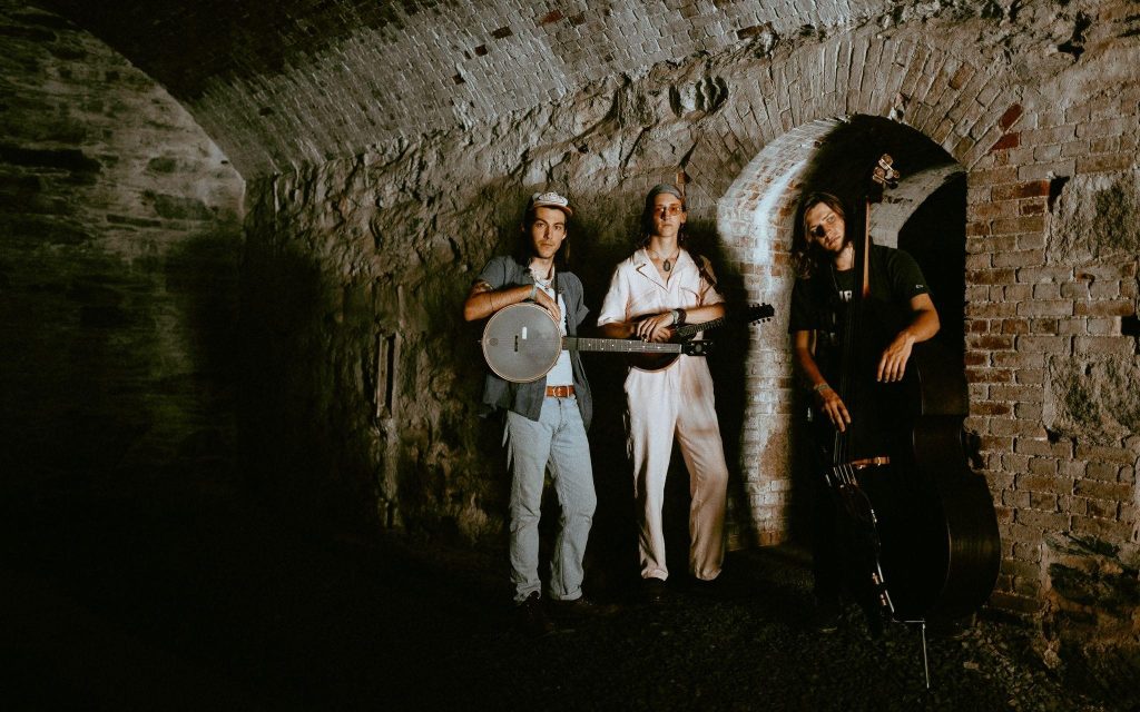 Grateful Web Interview with Palmyra