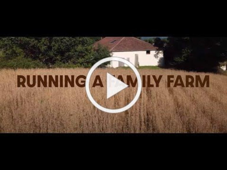 French rock farmers The Inspector Cluzo share intimate documentary 'Running A Family Farm'