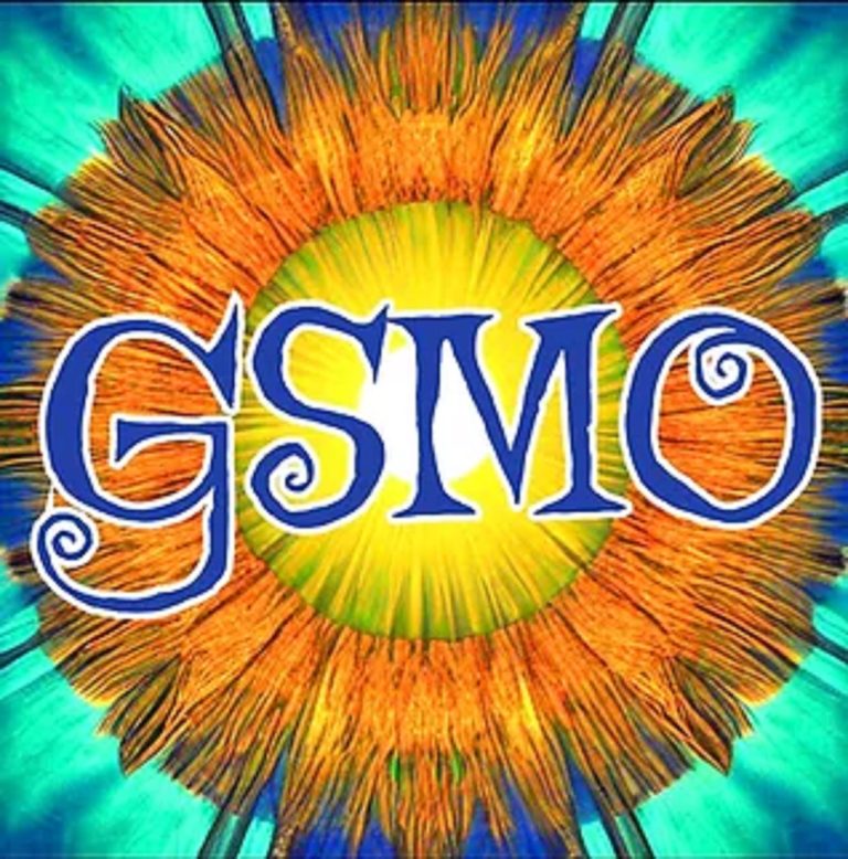 Groove with The Great Serpent Mound of Ohio's Grateful Dead Tribute – Captured Live at Mother Stewart's Brewing