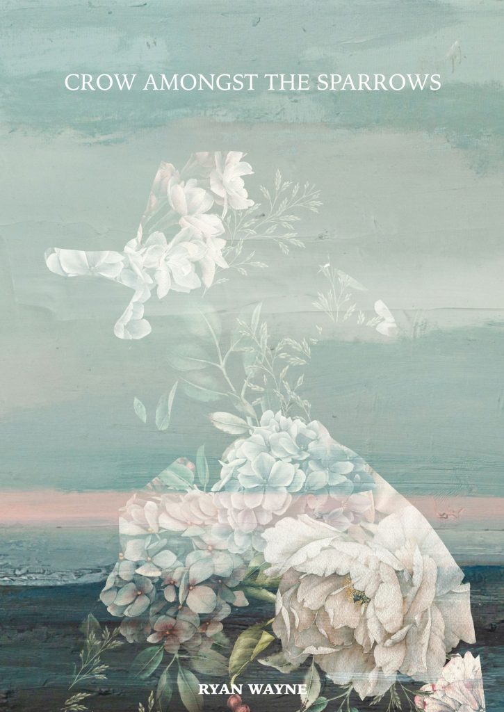 RYAN WAYNE DEBUT SOLO ALBUM CROW AMONGST THE SPARROWS