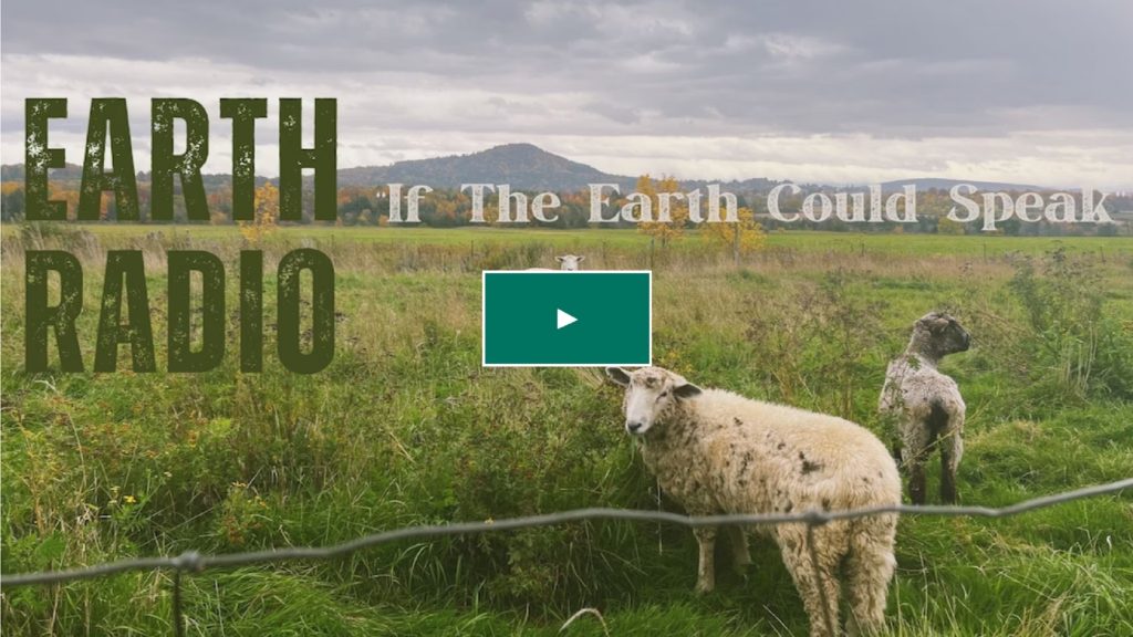 Earth Radio Announces Kickstarter for New Sustainable Music Project—'If The Earth Could Speak