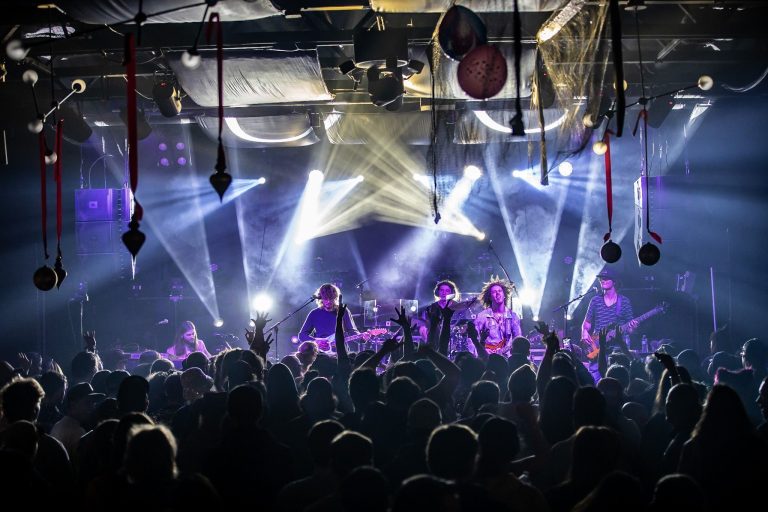 2023 is in The Bag for Dogs In A Pile | 12/30 & 12/31 Recap