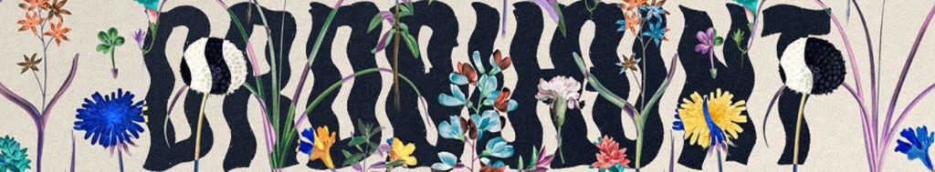 Drug Hunt Announces Debut Full-Length Album "Feast," Out July 20 on Bad Vibes Good Friends