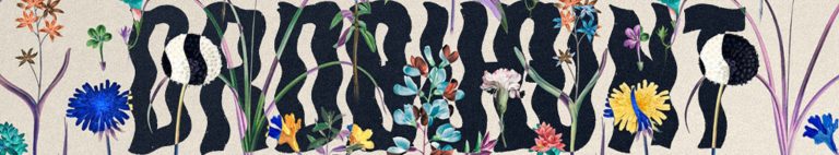 Drug Hunt Announces Debut Full-Length Album "Feast," Out July 20 on Bad Vibes Good Friends