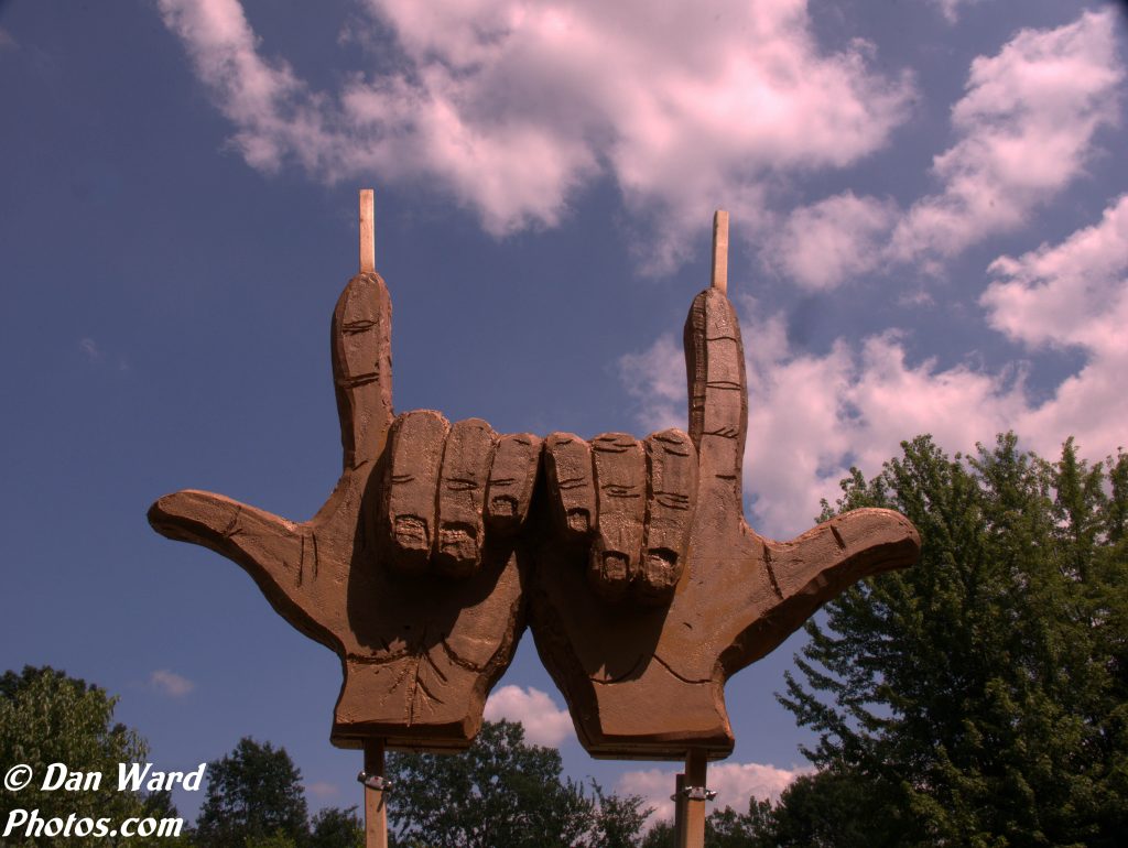 Limo Camp 2024 | Recap