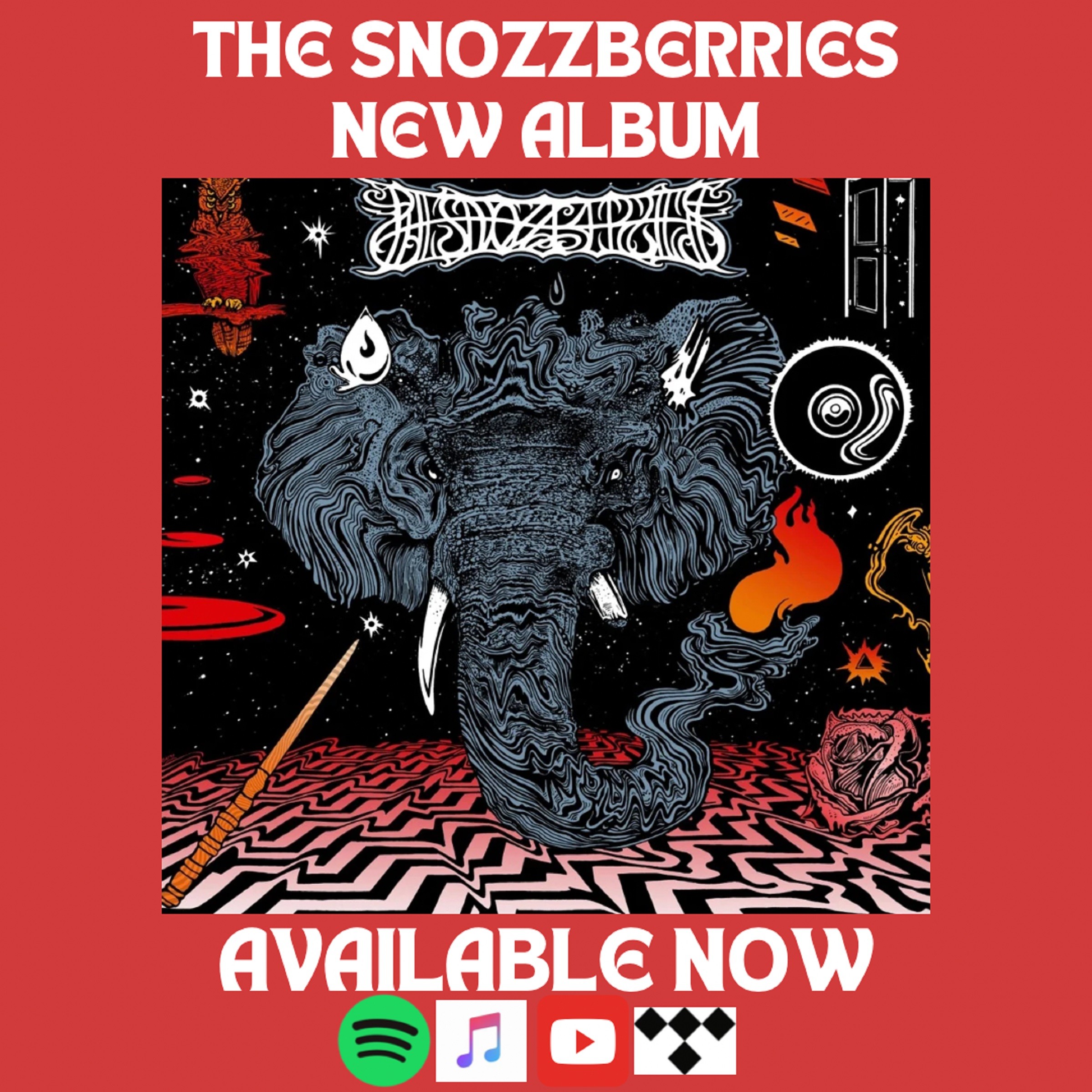 The Snozzberries Invite You Into Their Psychedelic Playground